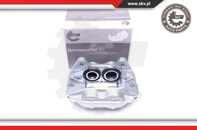 Brake Caliper (42SKV831)