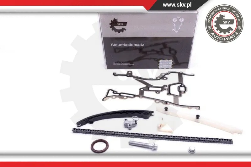 Timing Chain Kit (21SKV201)