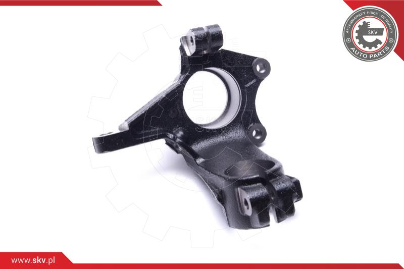 Steering Knuckle, wheel suspension