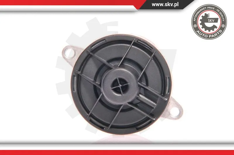 EGR Valve (14SKV023)