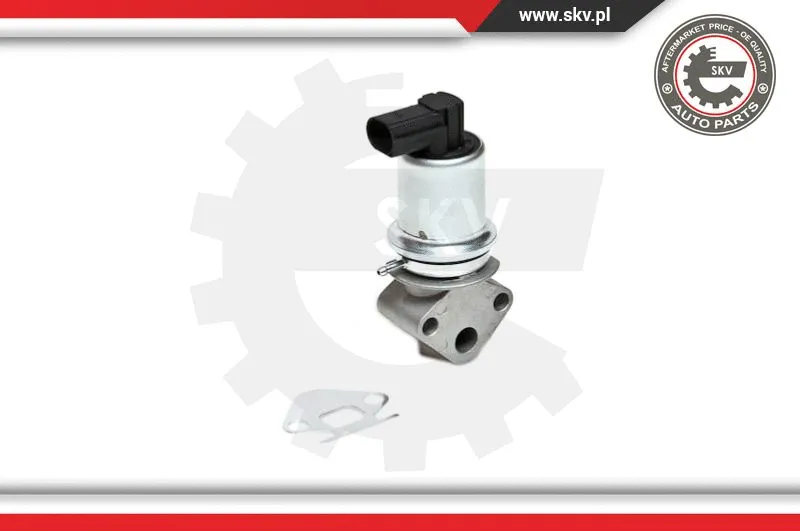 EGR Valve
