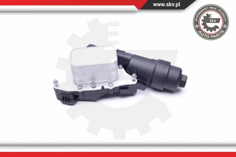 Oil Cooler, engine oil (31SKV165)