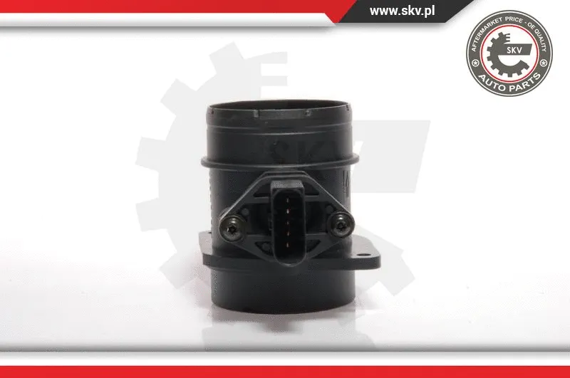 Mass Air Flow Sensor