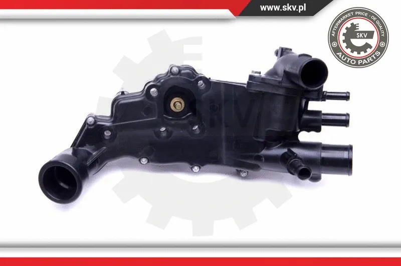 Thermostat, coolant