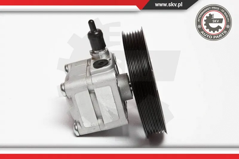 Hydraulic Pump, steering