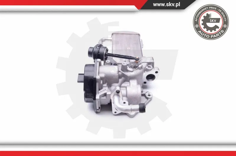 EGR Valve