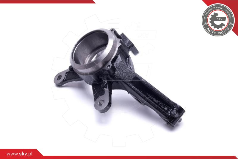 Steering Knuckle, wheel suspension