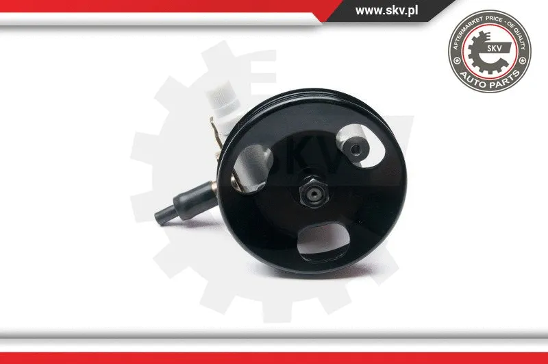 Hydraulic Pump, steering (10SKV228)