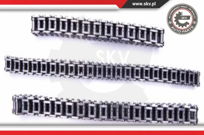 Timing Chain Kit