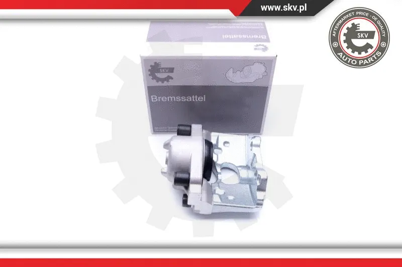 Brake Caliper (42SKV822)