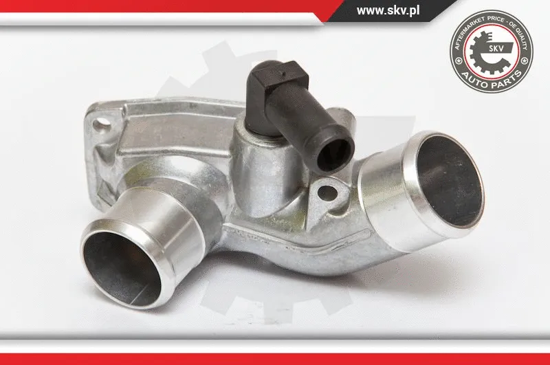 Thermostat, coolant