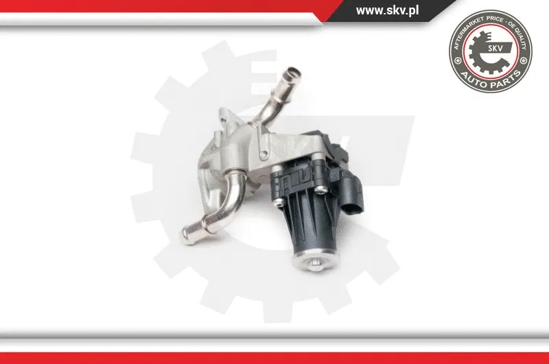 EGR Valve