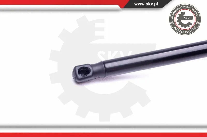 Gas Spring, boot/cargo area