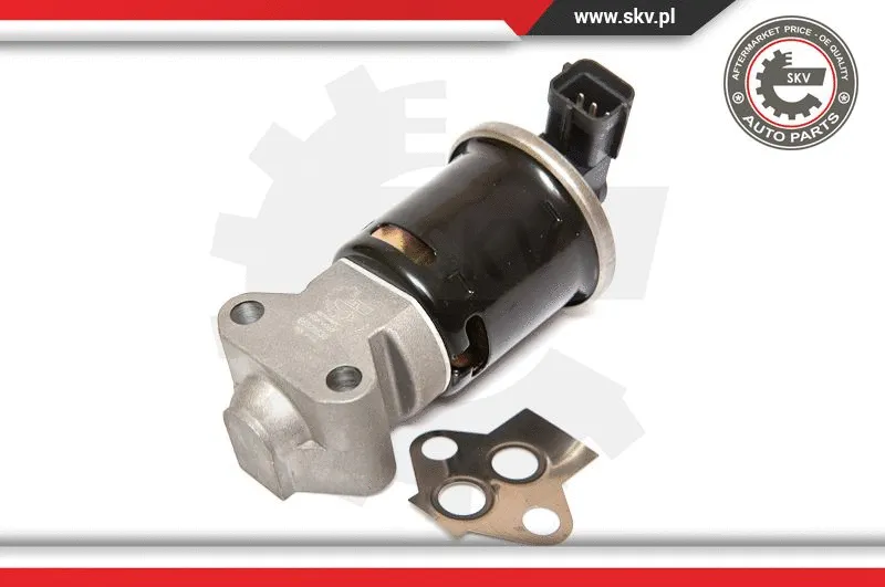 EGR Valve