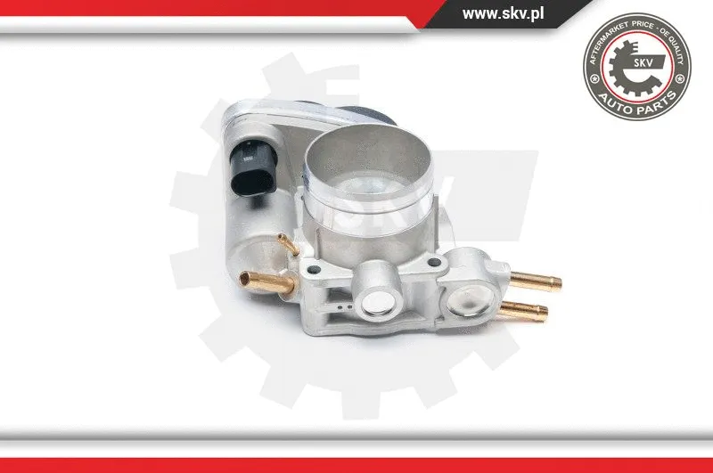 Throttle Body