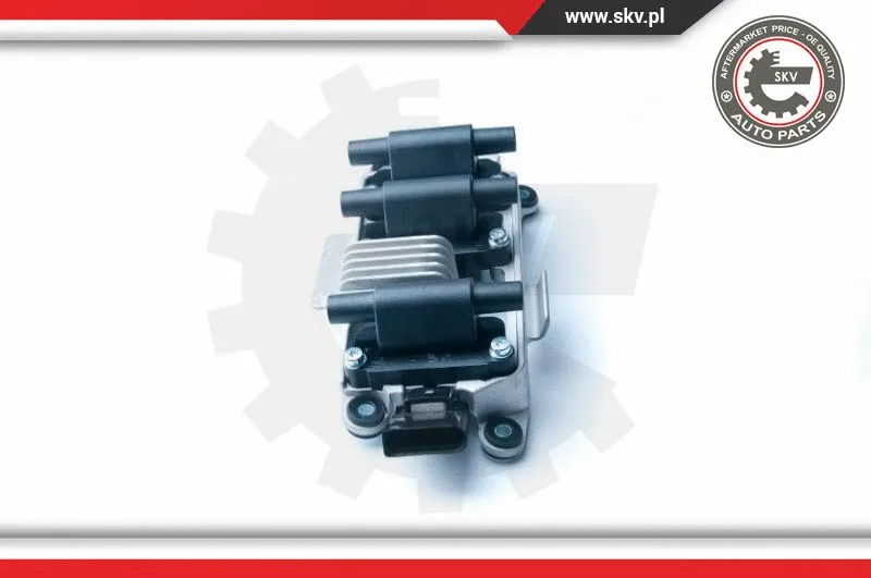 Ignition Coil (03SKV216)
