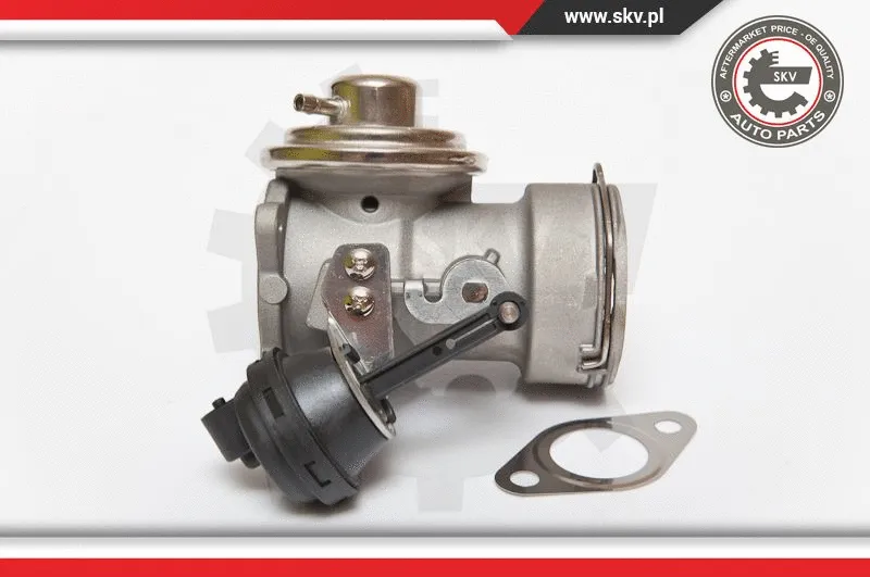 EGR Valve
