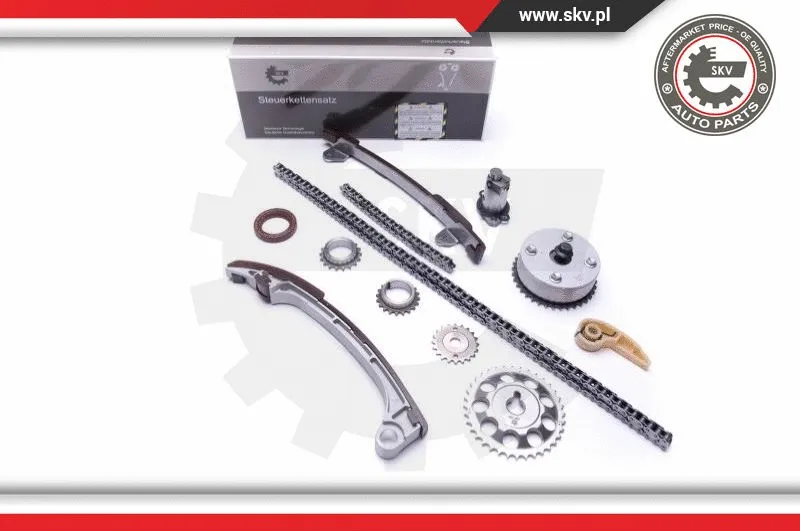 Timing Chain Kit (21SKV197)