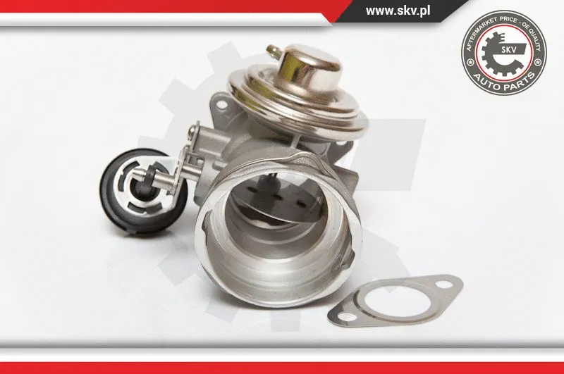 EGR Valve