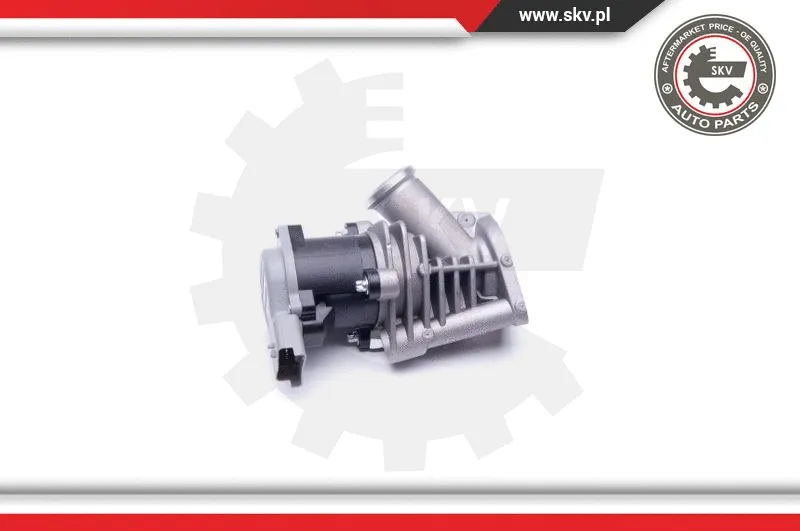 EGR Valve