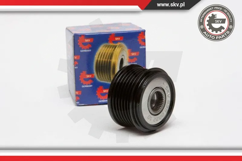 Alternator Freewheel Clutch (11SKV015)