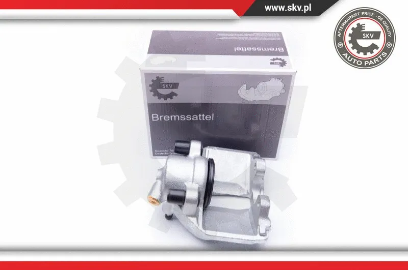 Brake Caliper (42SKV032)