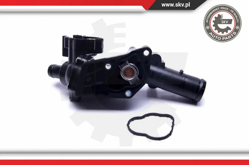 Thermostat, coolant