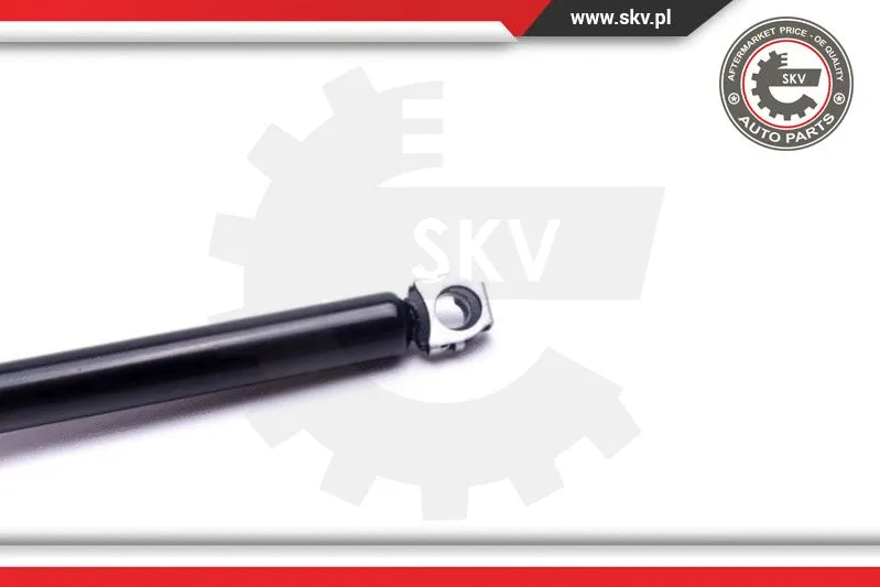 Gas Spring, boot/cargo area