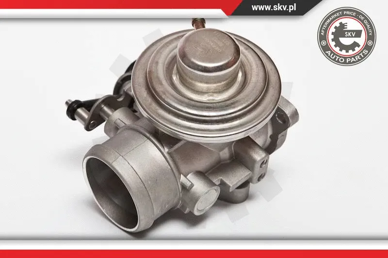 EGR Valve (14SKV020)