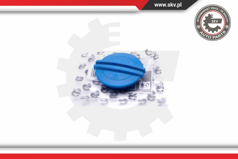 Cap, coolant tank (61SKV010)