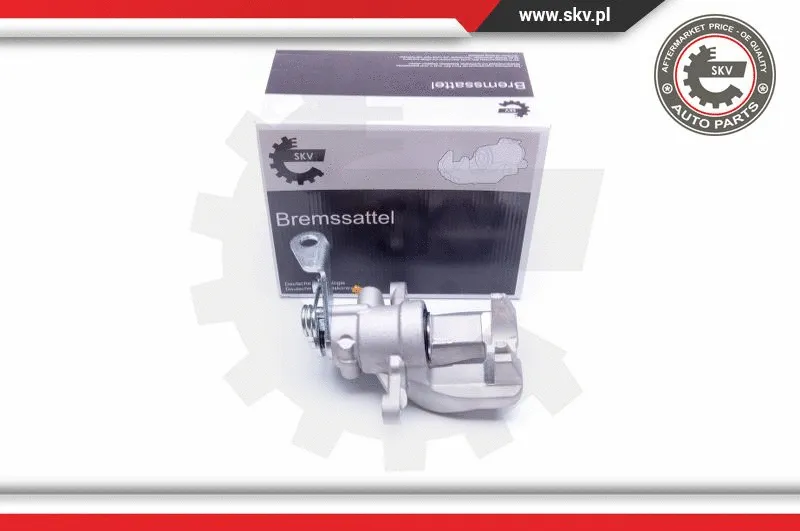Brake Caliper (42SKV533)