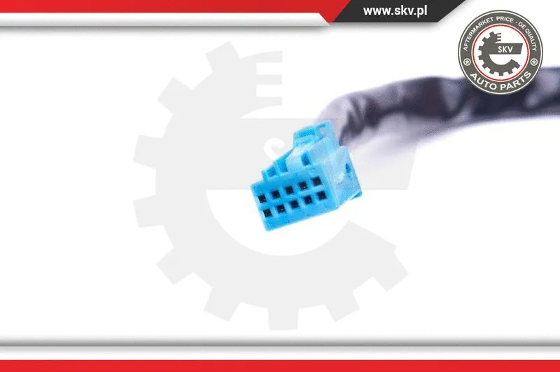 Switch, window regulator