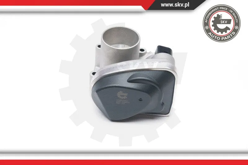 Throttle Body (12SKV042)