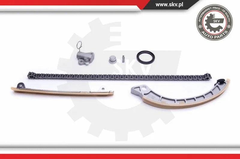 Timing Chain Kit