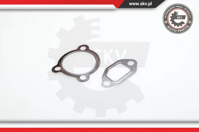 EGR Valve