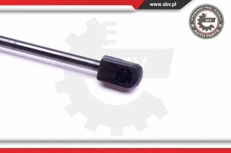Gas Spring, boot/cargo area