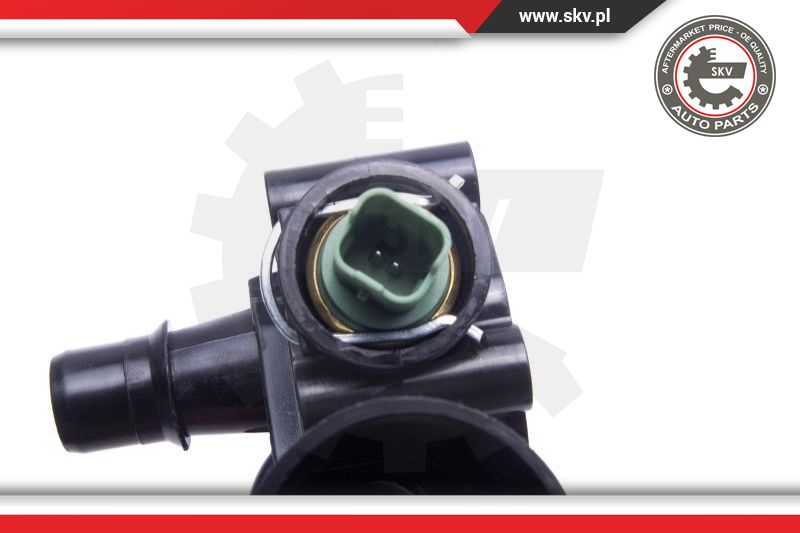 Thermostat, coolant