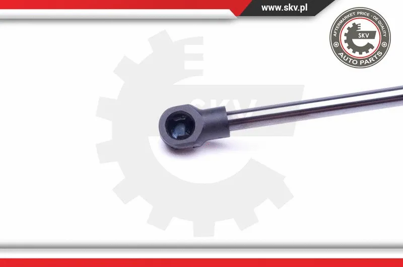 Gas Spring, boot/cargo area