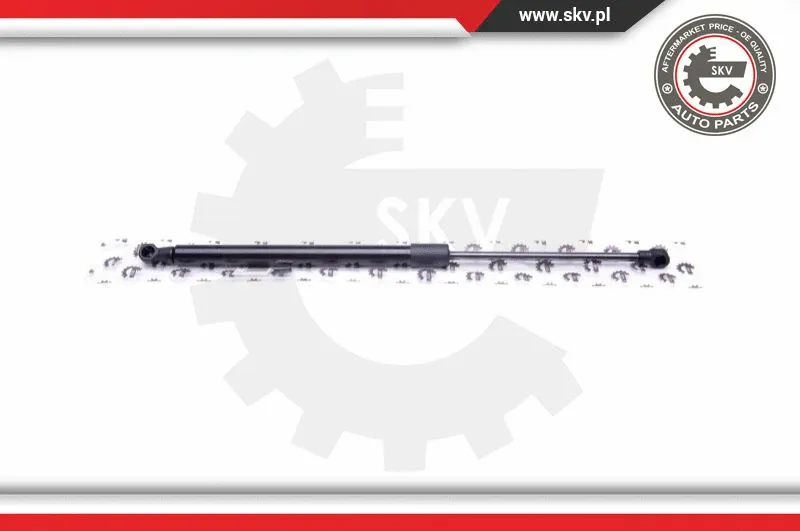 Gas Spring, boot/cargo area