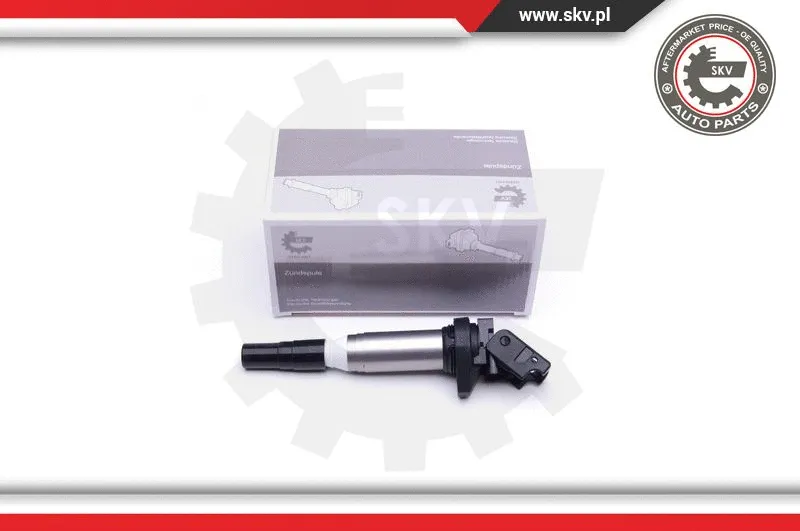 Ignition Coil (03SKV270)