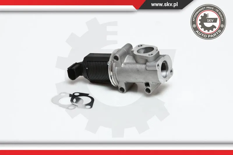EGR Valve