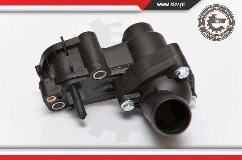 Thermostat, coolant