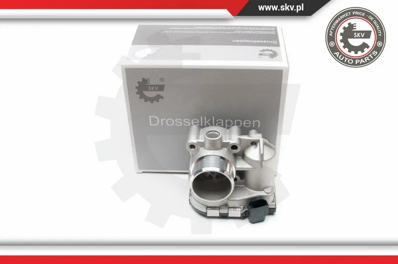 Throttle Body (12SKV041)