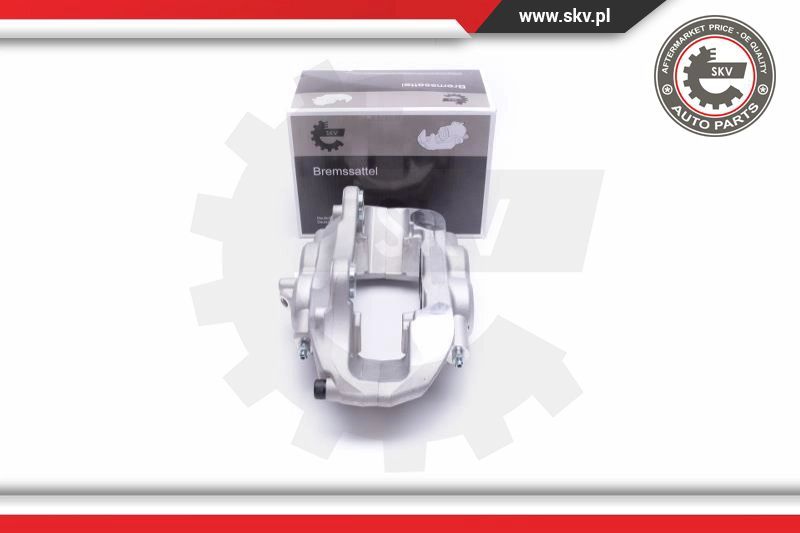 Brake Caliper (55SKV902)