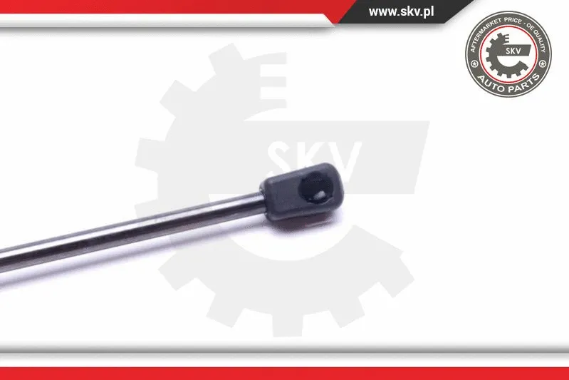 Gas Spring, boot/cargo area
