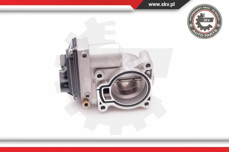 Throttle Body