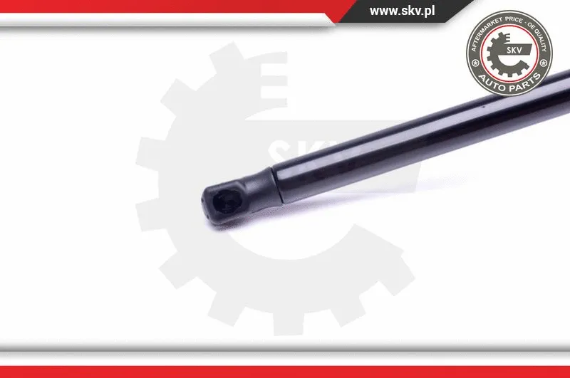 Gas Spring, boot/cargo area
