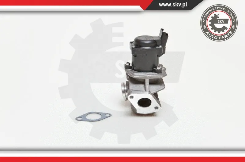 EGR Valve