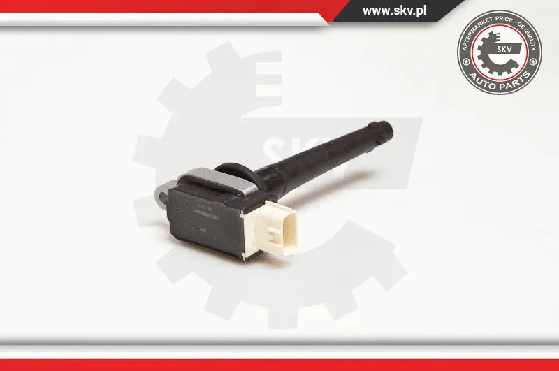 Ignition Coil (03SKV172)