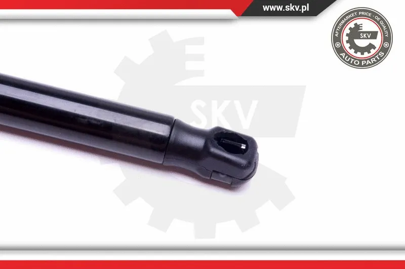 Gas Spring, boot/cargo area